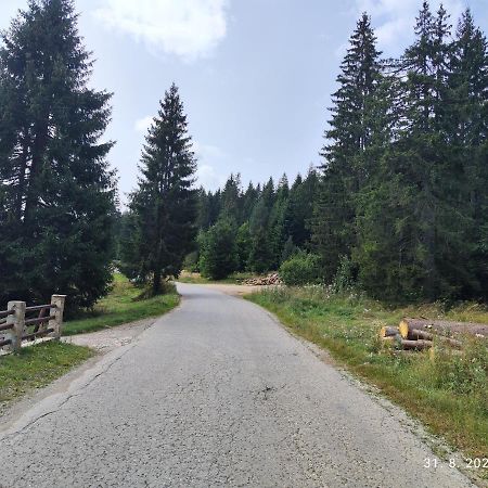 Vila Carobna Suma Tara Баина Баща Екстериор снимка