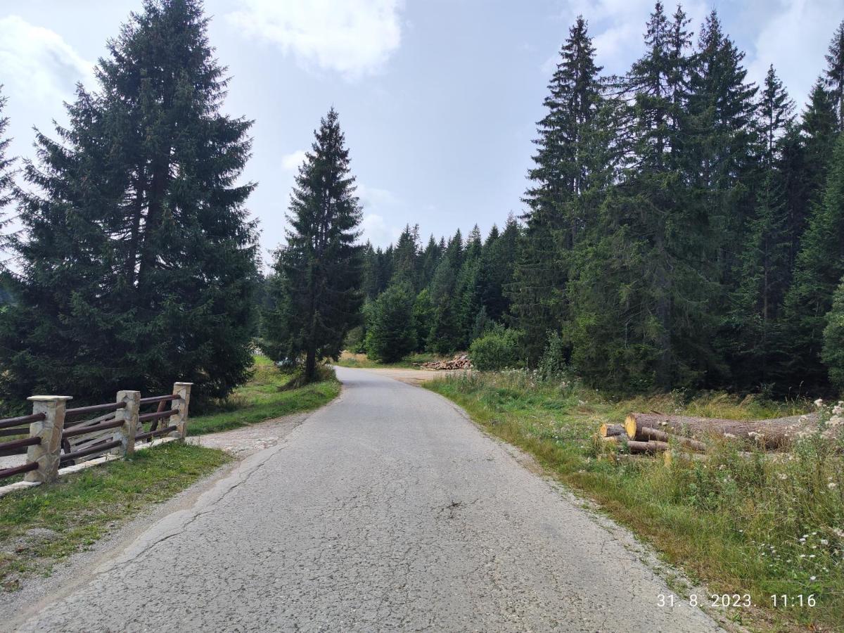 Vila Carobna Suma Tara Баина Баща Екстериор снимка