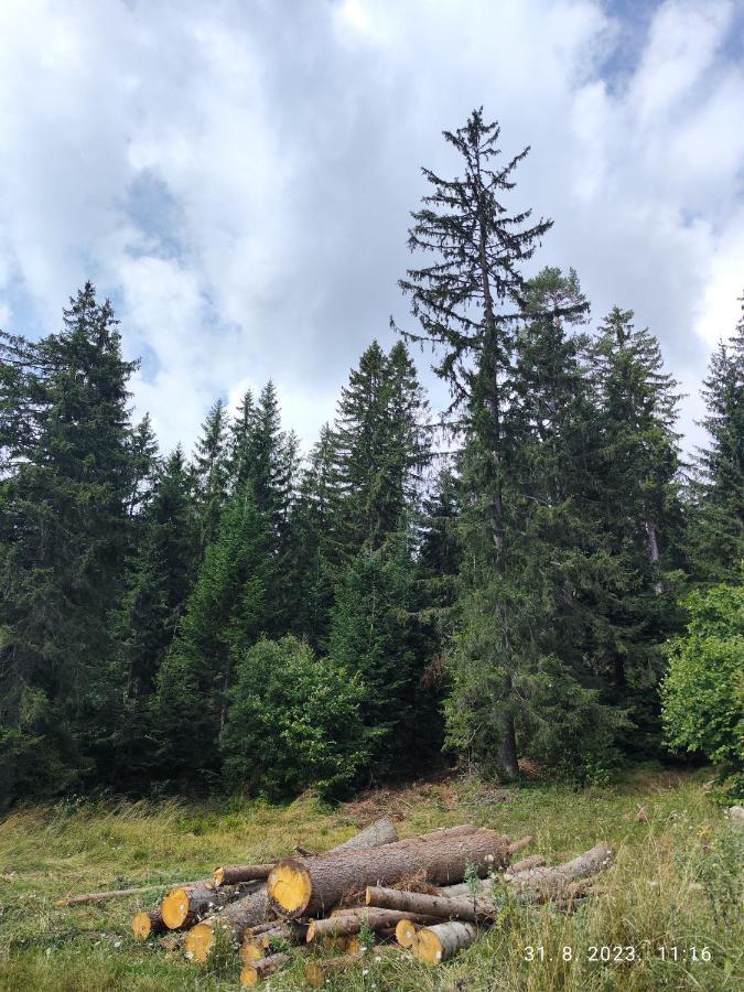 Vila Carobna Suma Tara Баина Баща Екстериор снимка